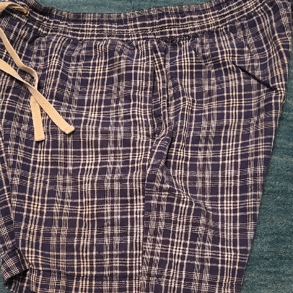 J. Crew Blue Checkered Drawstring Pants